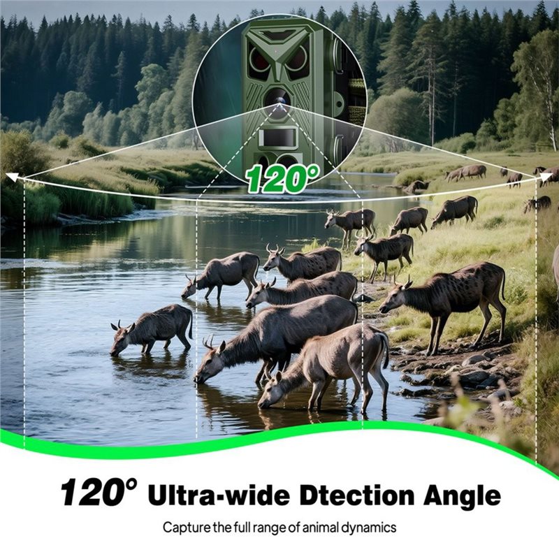 BTLIFE-Wildtier-Überwachungska – Trail Camera Infrared Bewertung und Preis