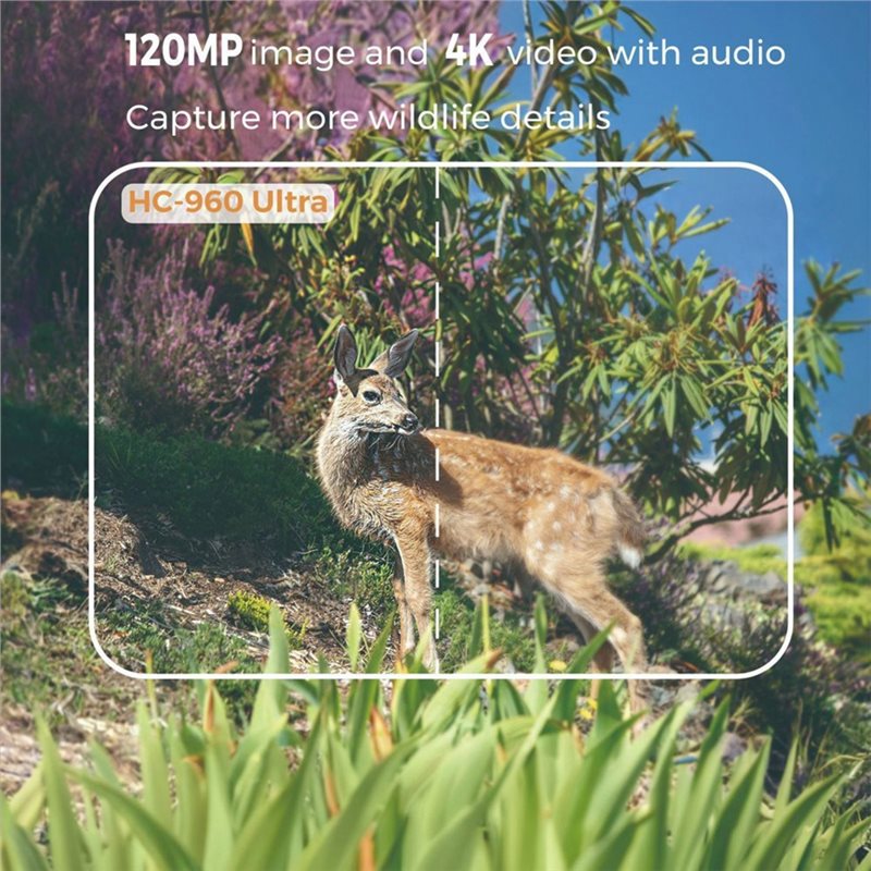Y47A Outdoor 4G 120MP 4K Live- – Hunting And Outdoor Shows Bewertung und Preis