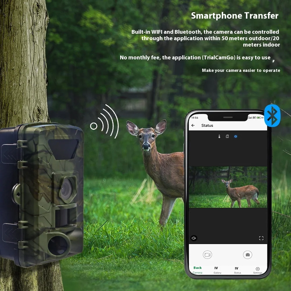 PR803W 8K WiFi-Wildkamera – IP – Trail Camera Infrared Bewertung und Preis
