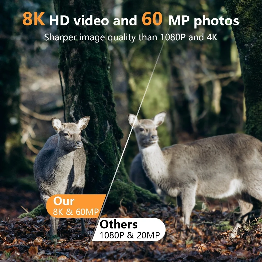 PR803W 8K WiFi-Wildkamera – IP – Trail Camera Infrared Bewertung und Preis