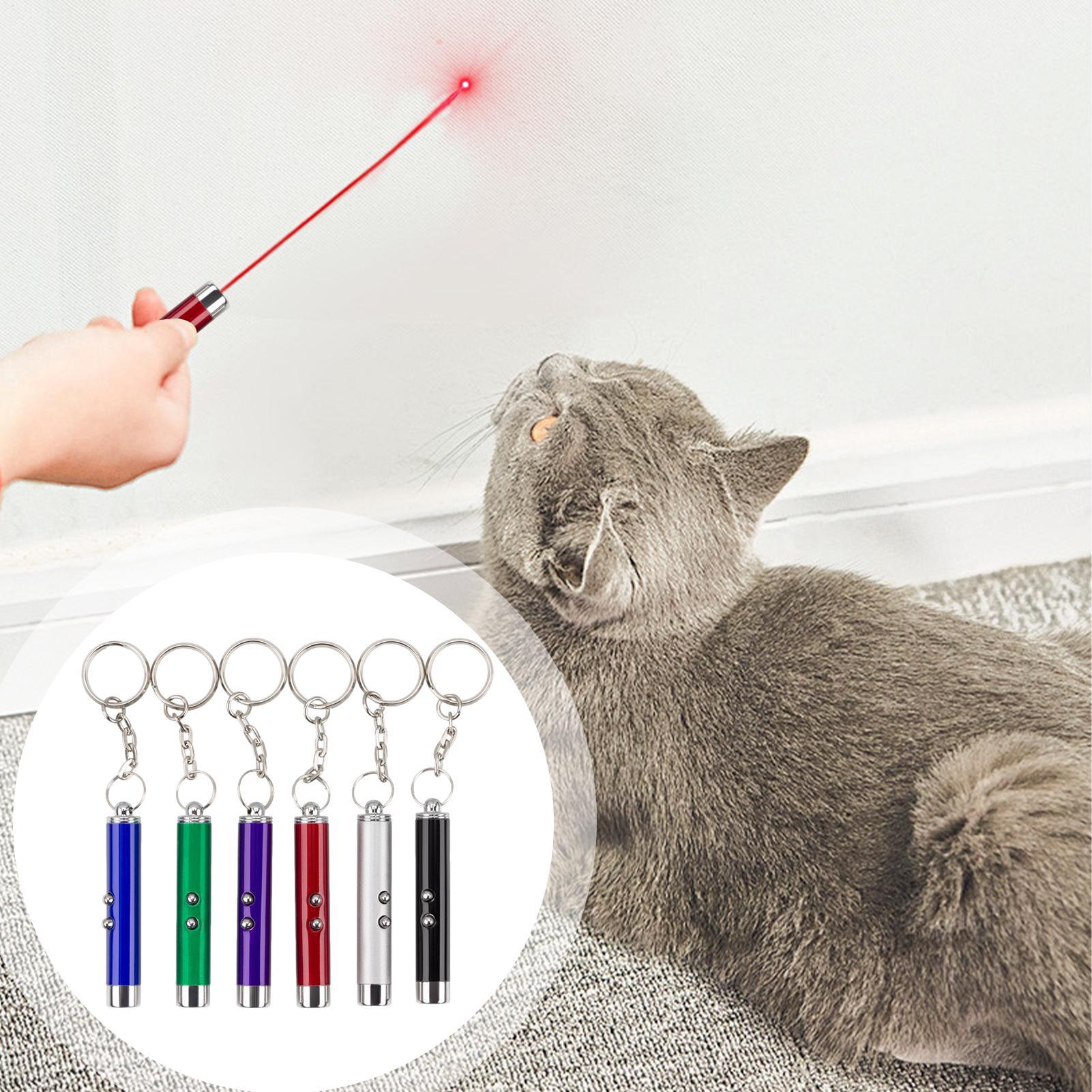 Katzenspielzeug: Laser-Pointer – Trail Camera Infrared Bewertung und Preis