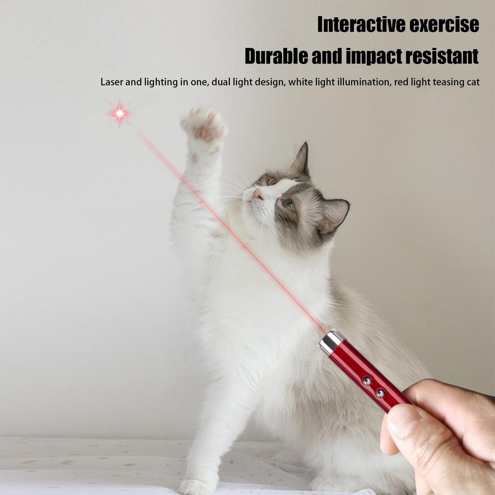 Katzenspielzeug: Laser-Pointer – Trail Camera Infrared Bewertung und Preis