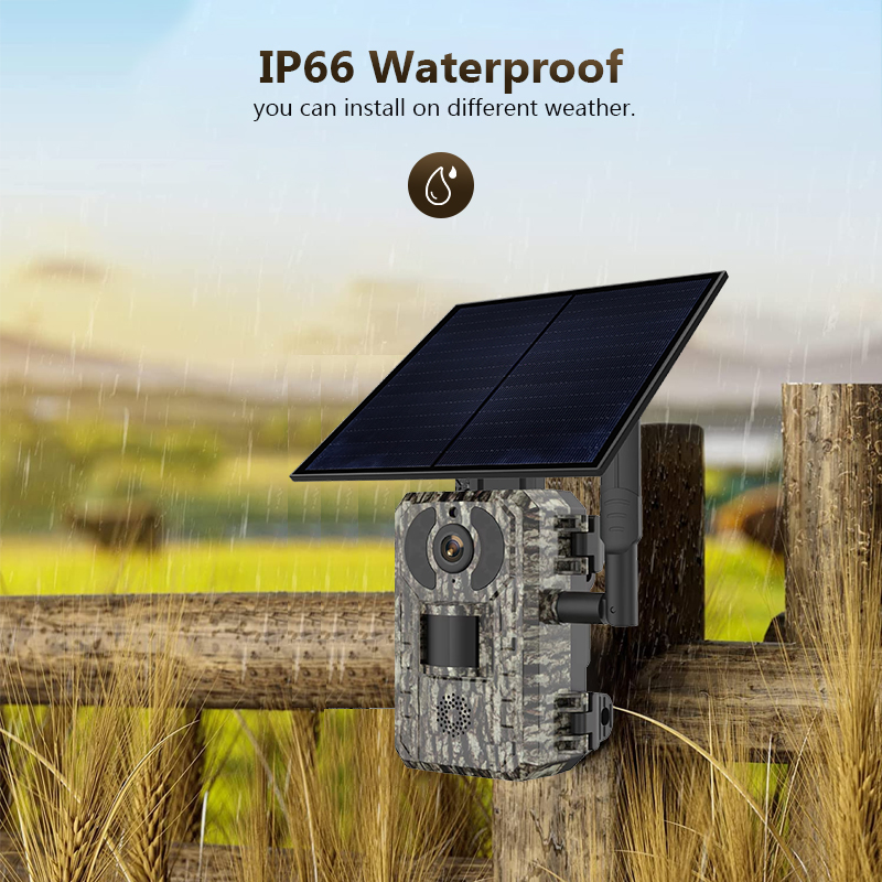 4G 4MP Outdoor Wildlife Huntin – Trail Camera Infrared Bewertung und Preis