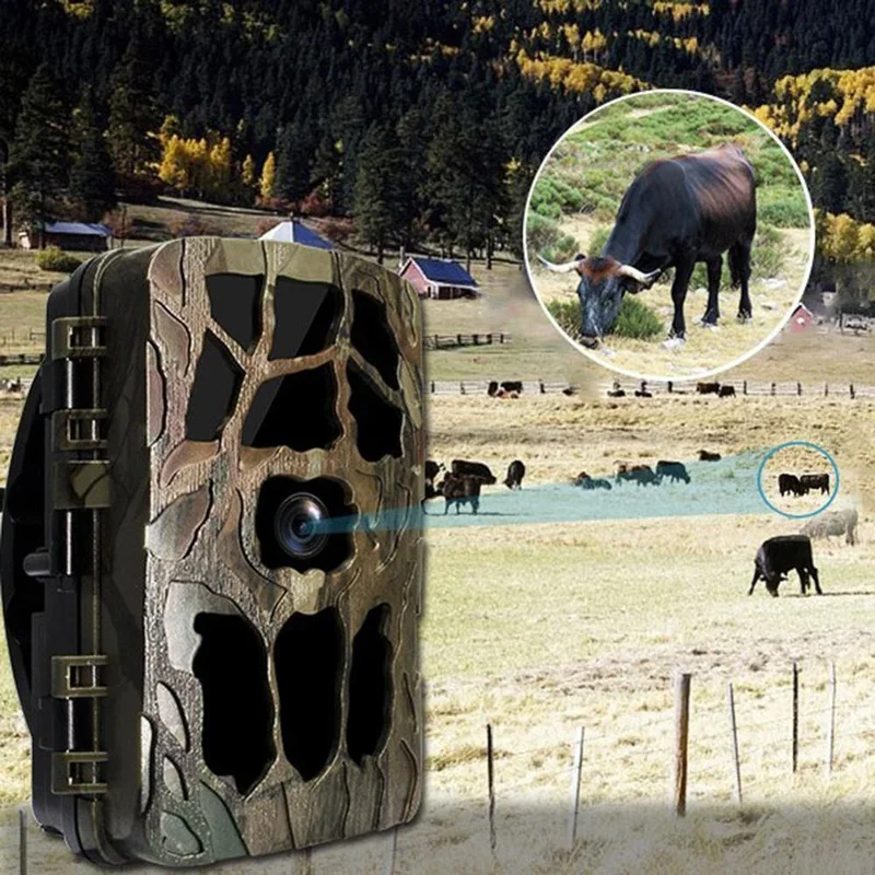 H982 IP66 Wasserdichte 4K Outd – Trail Camera Infrared Bewertung und Preis